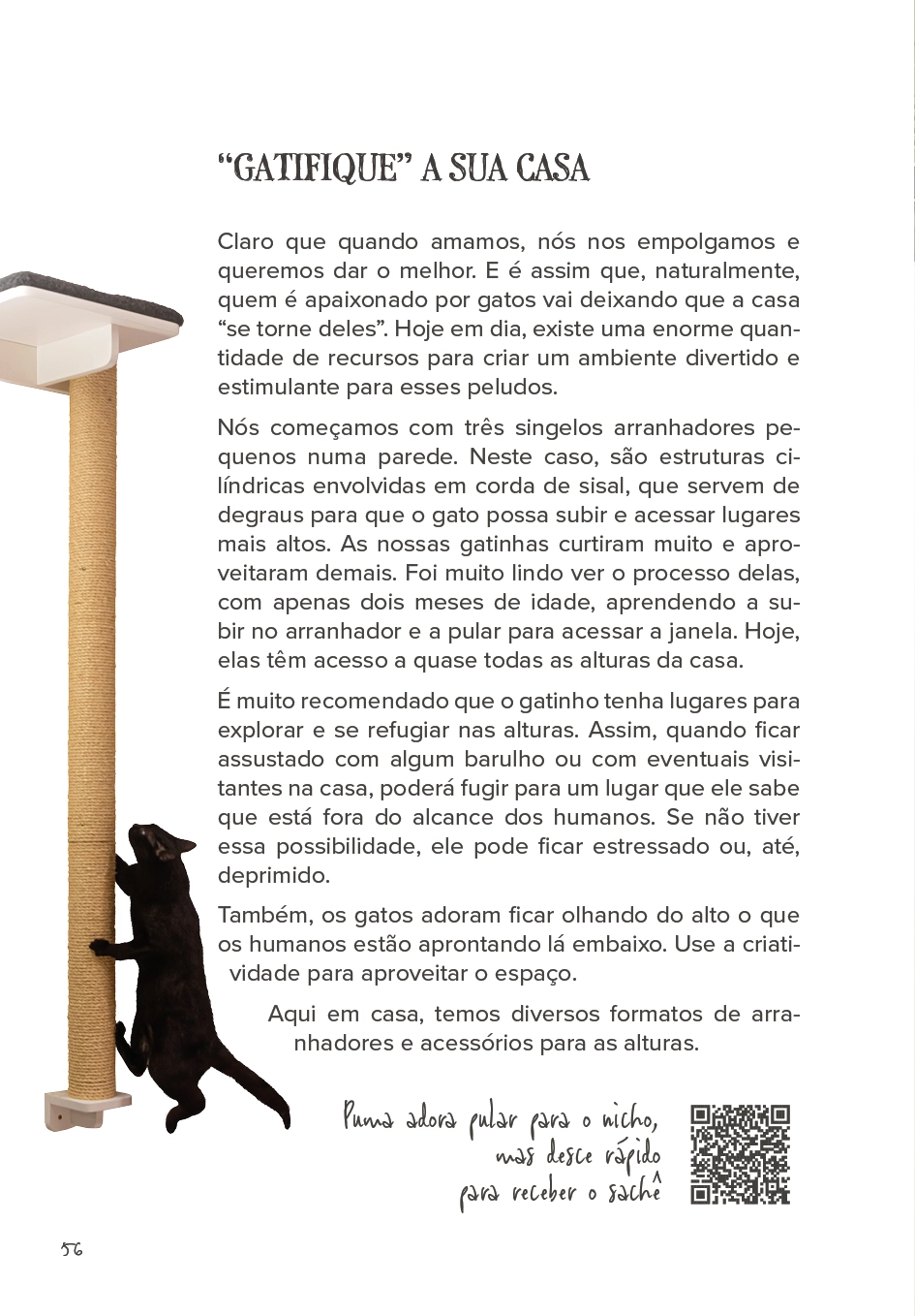 Gato Preto dá Sorte ok58