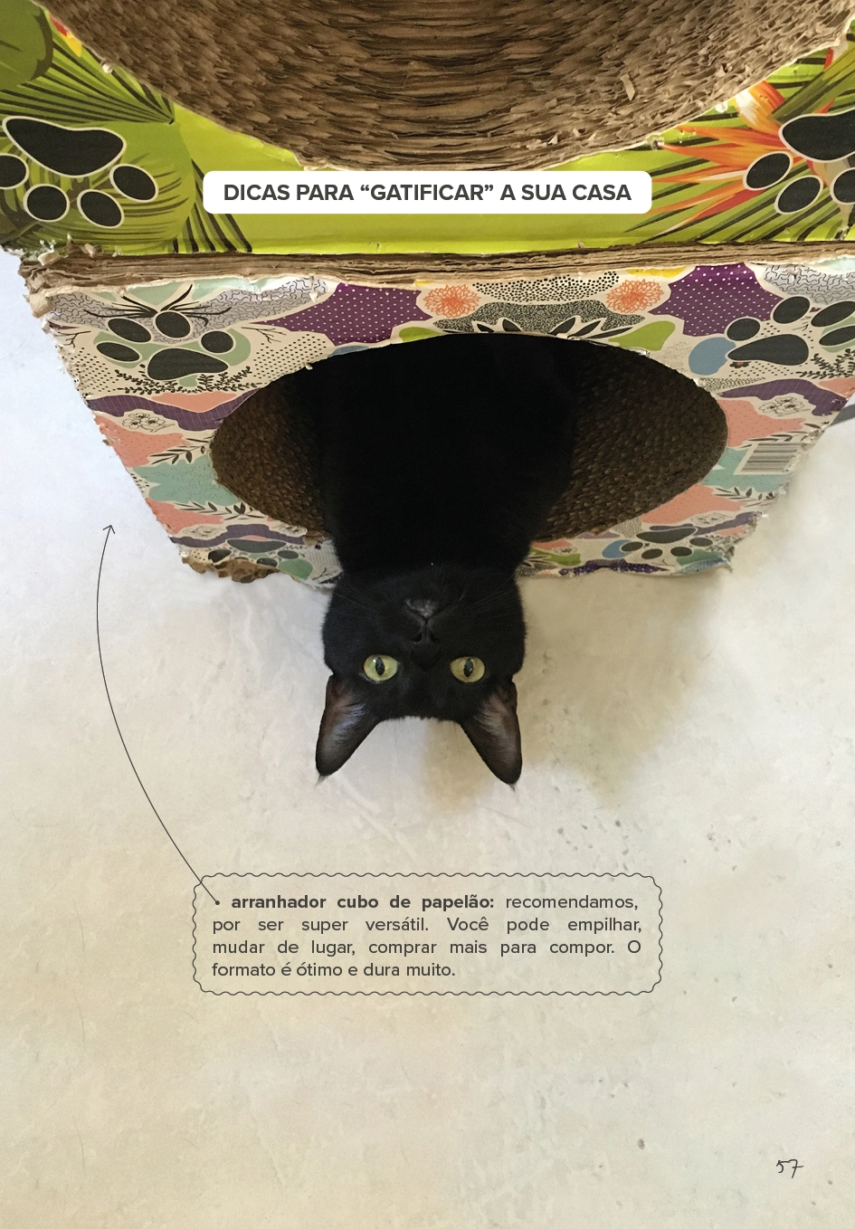 Gato Preto dá Sorte ok59
